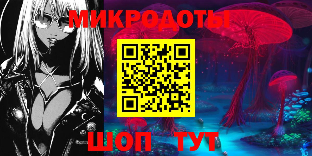 Псилоцибиновые грибы Psilocybe Россошь
